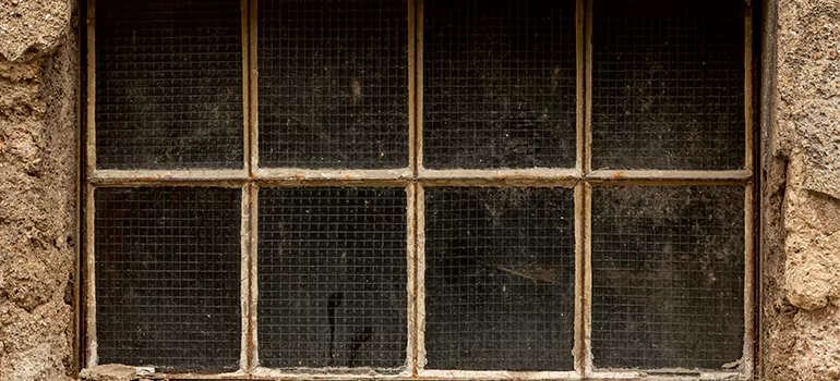Traditional Double Front Doors in Deltona, FL