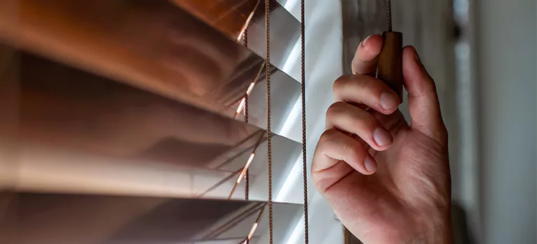 Double Roller Blinds in Deltona, FL