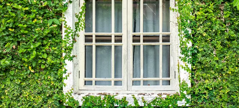 Garden Window Repair Near Me in Deltona, FL