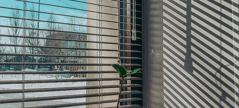 Commercial Window Blinds in Deltona, FL