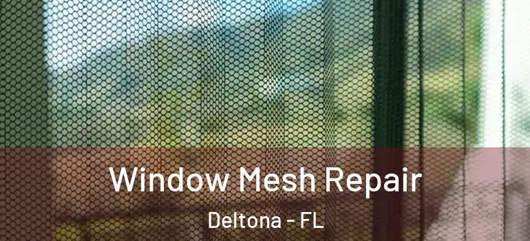 Window Mesh Repair Deltona - FL