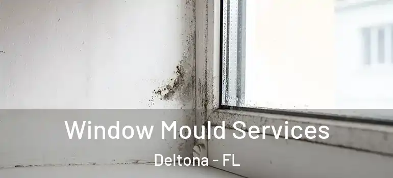 Window Mould Services Deltona - FL